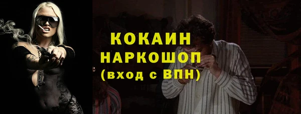 spice Арсеньев