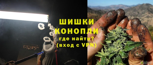 spice Арсеньев