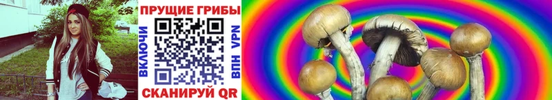 кракен ТОР  цены наркотик  Аша  Галлюциногенные грибы Magic Shrooms 